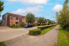 Vrouwenmantel 81  Schoonhoven 005.jpg